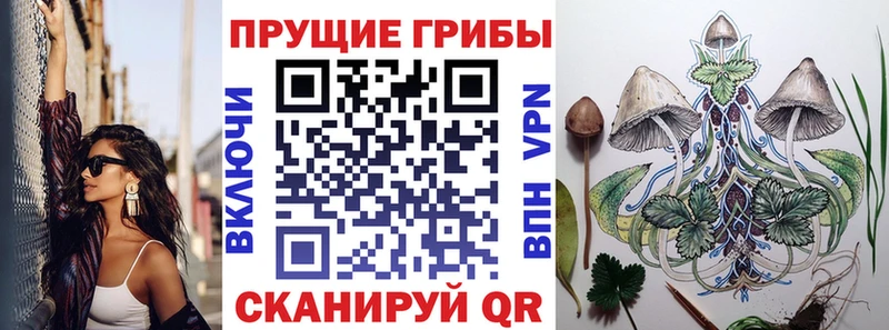 Псилоцибиновые грибы прущие грибы  Гулькевичи 